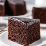 Emergency chocolate cake without eggs or butter, easy and delicious recipe